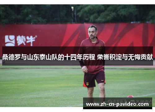 桑德罗与山东泰山队的十四年历程 荣誉积淀与无悔贡献