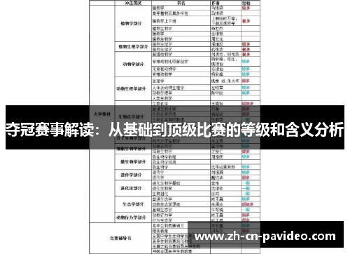 夺冠赛事解读：从基础到顶级比赛的等级和含义分析