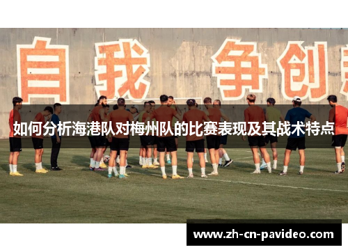 如何分析海港队对梅州队的比赛表现及其战术特点