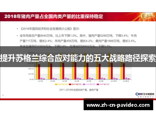 提升苏格兰综合应对能力的五大战略路径探索